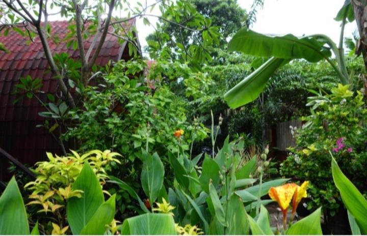 Banana Leaf Bungalow Gili Trawangan Exteriör bild