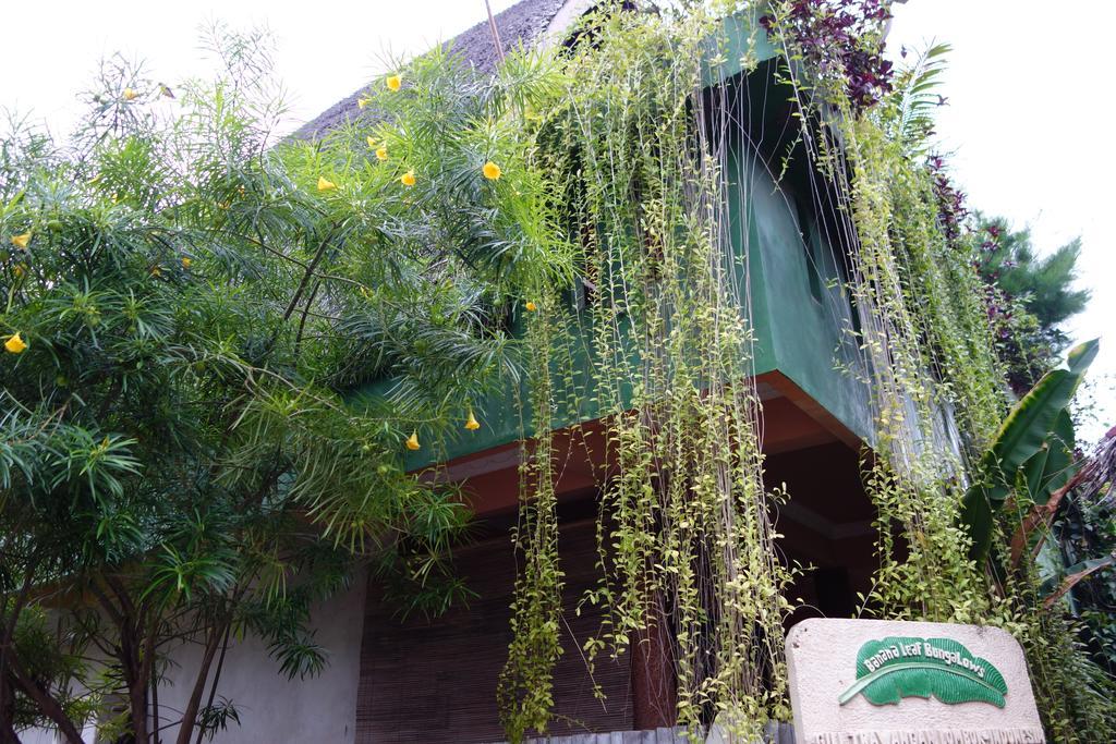 Banana Leaf Bungalow Gili Trawangan Exteriör bild