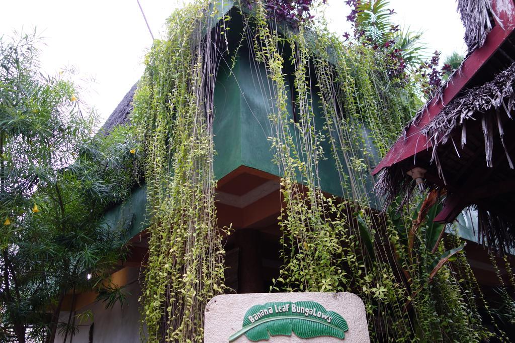 Banana Leaf Bungalow Gili Trawangan Exteriör bild